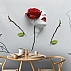 Red Rose Face Wall Mural – Minimal Artistic Floral Portrait Design