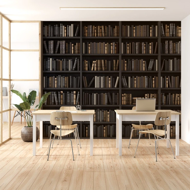 Classic Library Bookshelf Wall Mural – Vintage Study Room Design