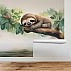 Cute Sloth Kids Wall Mural – Jungle Animal Nursery Design
