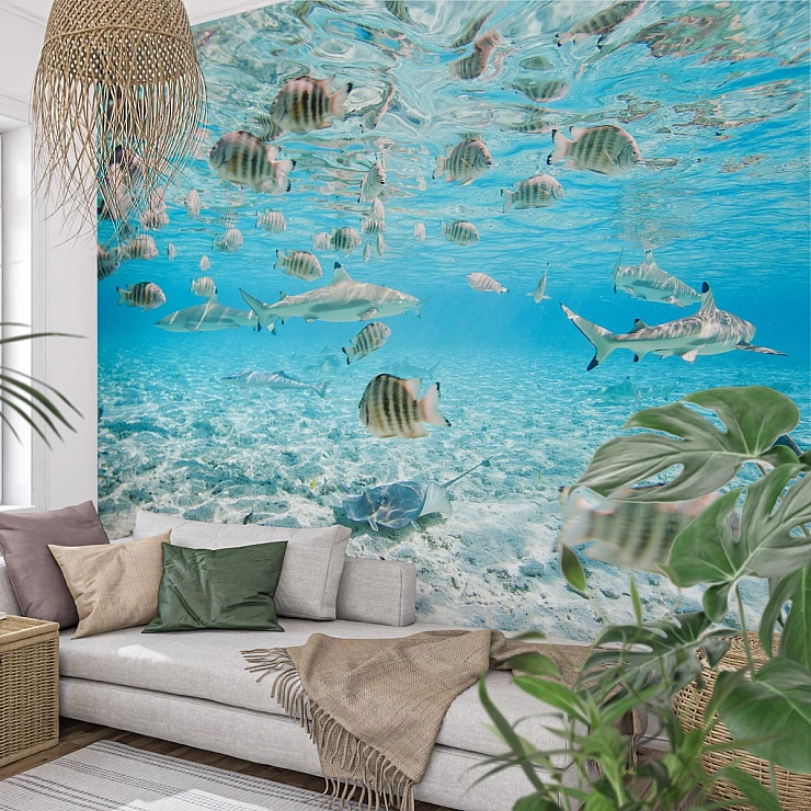 Tropical Underwater Fish Wall Mural – Clear Ocean Sea Life Design Tropical Underwater Fish Wall Mural – Clear Ocean Sea Life Design