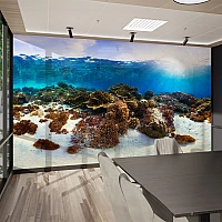 Underwater Coral Reef Wall Mural – Ocean Nature Seascape Design