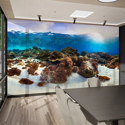 Underwater Coral Reef Wall Mural – Ocean Nature Seascape Design