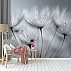 Grey Dandelion Wall Mural – Soft Macro Floral Nature Design