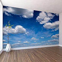 Blue Sky Clouds Wall Mural – Open Air Nature Ceiling Effect Design