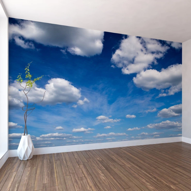 Blue Sky Clouds Wall Mural – Open Air Nature Ceiling Effect Design Blue Sky Clouds Wall Mural – Open Air Nature Ceiling Effect Design