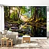Sunlit Forest Stream Wall Mural – Peaceful Nature Landscape Design