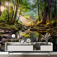 Sunlit Forest Stream Wall Mural – Peaceful Nature Landscape Design