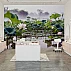 Lotus Pond Wall Mural – Serene Water Garden Nature Design