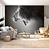Roaring Lion Wall Mural – Black and White Wildlife Portrait Design