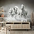 Black & White Running Horses Wall Mural – Elegant Monochrome Animal Art