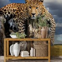 Leopard Close-Up Wall Mural – Wild Safari Animal Portrait Design