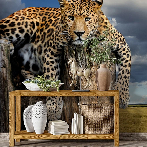 Leopard Close-Up Wall Mural – Wild Safari Animal Portrait Design