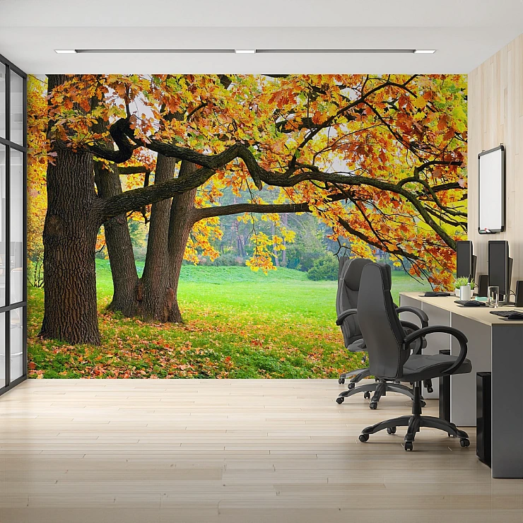 Autumn Tree Park Wall Mural – Colorful Nature Landscape Design
