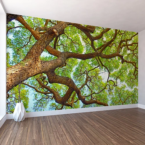 Tree Canopy Perspective Wall Mural – Natural Forest Ceiling View Wallpaper for Living Room