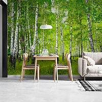 Birch Forest Wall Mural – Fresh Green Nature Landscape Design