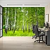 Birch Forest Wall Mural – Fresh Green Nature Landscape Design