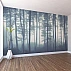 Blue Mist Forest Wall Mural – Tall Trees Nature Landscape Design