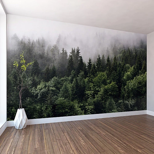 Misty Forest Wall Mural – Lush Green Pine Landscape Design