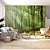 Sunlight Forest Wall Mural – Misty Green Nature Path Design Sunlight Forest Wall Mural – Misty Green Nature Path Design