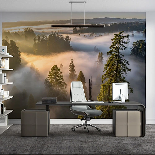 Golden Mist Forest Wall Mural – Sunrise Trees Nature Landscape Design