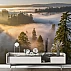 Golden Mist Forest Wall Mural – Sunrise Trees Nature Landscape Design