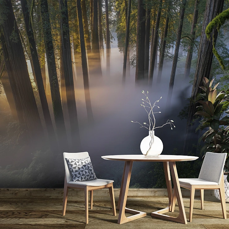 Misty Forest Wall Mural – Sunlight Trees Nature Landscape Design