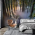 Misty Forest Wall Mural – Sunlight Trees Nature Landscape Design