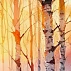 Birch Forest Sunset Wall Mural – Colorful Nature Landscape Design