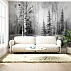 Birch Forest Wall Mural – Soft Grey Minimal Nature Landscape Birch Forest Wall Mural – Soft Grey Minimal Nature Landscape
