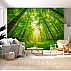 Sunlight Forest Canopy Wall Mural – Lush Green Nature Perspective Design