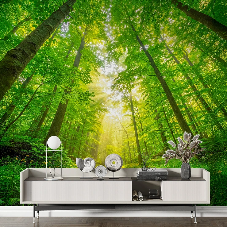 Sunlight Forest Canopy Wall Mural – Lush Green Nature Perspective Design