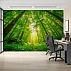 Sunlight Forest Canopy Wall Mural – Lush Green Nature Perspective Design