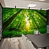 Sunlight Forest Canopy Wall Mural – Lush Green Nature Perspective Design