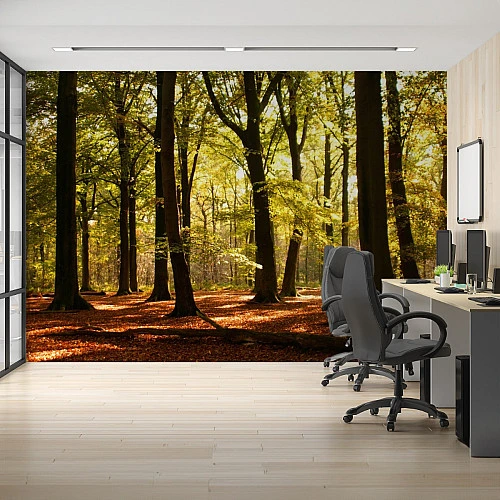 Sunlit Forest Wall Mural – Warm Woodland Nature Design