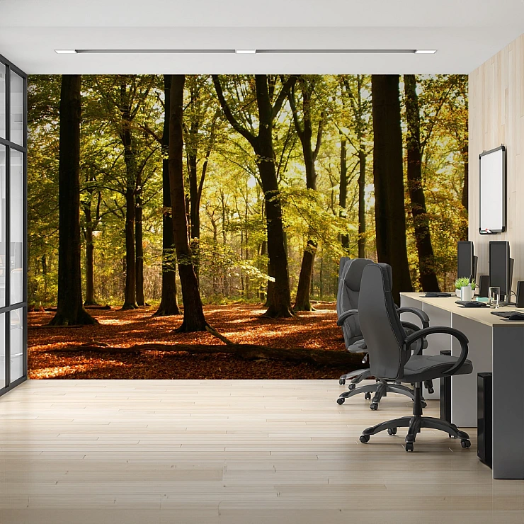 Sunlit Forest Wall Mural – Warm Woodland Nature Design