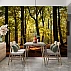Sunlit Forest Wall Mural – Warm Woodland Nature Design