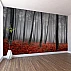 Dark Misty Forest Wall Mural – Red Autumn Ground Nature Design