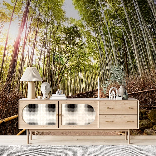 Sunlit Bamboo Forest Path Wall Mural – Serene Nature Landscape Wallpaper