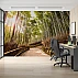 Sunlit Bamboo Forest Path Wall Mural – Serene Nature Landscape Wallpaper
