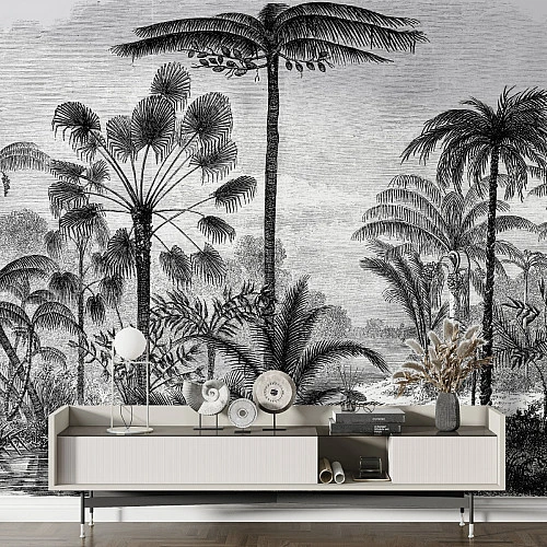 Vintage Palm Jungle Wall Mural – Black White Tropical Line Art
