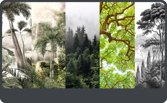 mountains, forests, oceans and scenic landscapes